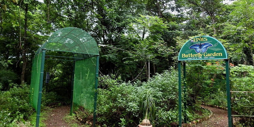 Sanjay Gandhi National Park, is among the famous tourist attractions in Mulund with trails and wildlife.