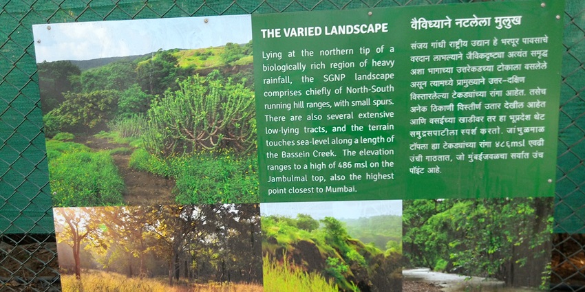 Sanjay Gandhi National Park is a place to visit in Thane with friends for safaris and wildlife