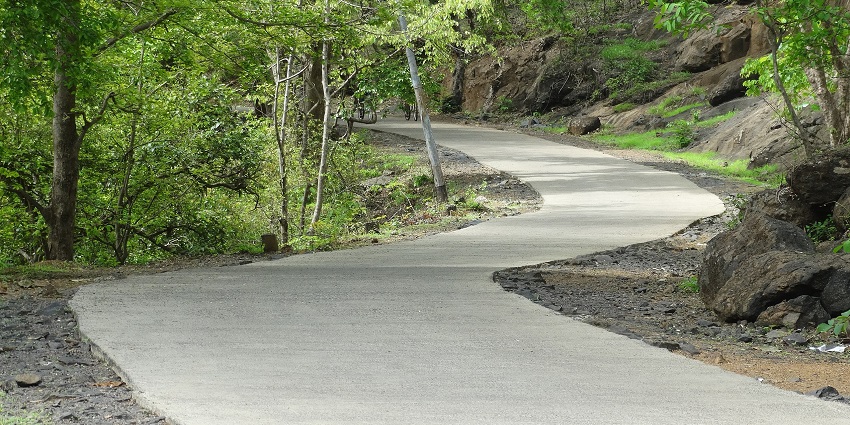 Scenic road meandering through the lush greenery of wildlife sanctuaries in Mumbai!