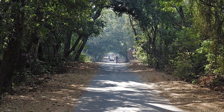 A road through Sanjay Gandhi National Park, one of the zoos in Maharashtra.