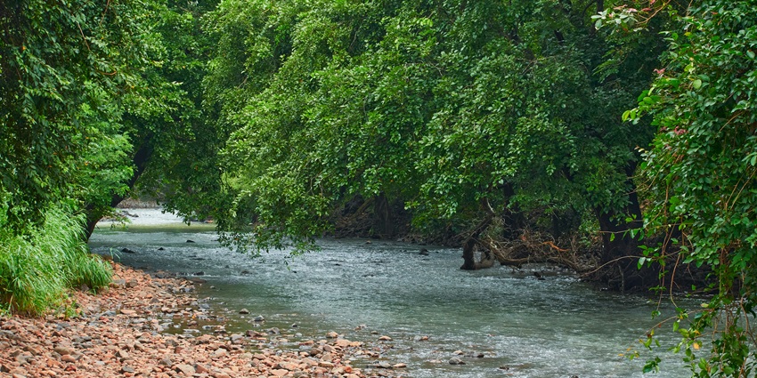 One of the places to visit near Dombivli is the famous Sanjay Gandhi National Park.