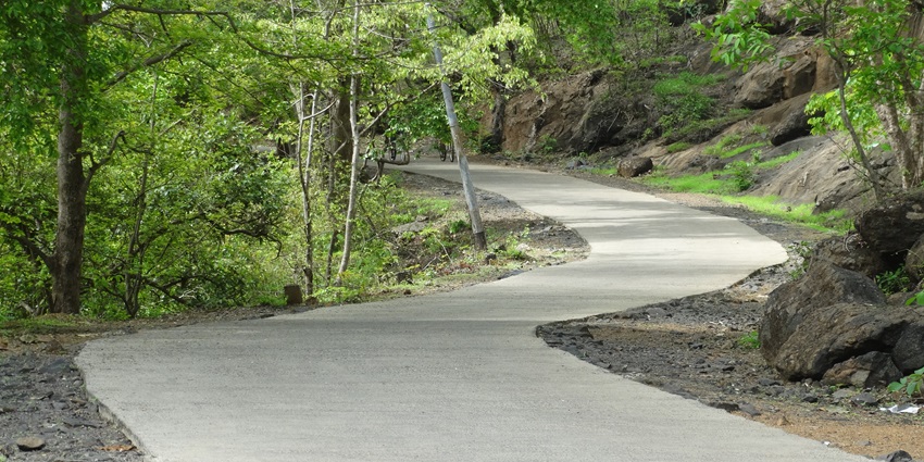 road winding Sanjay Gandhi National Park, a popular place near Essel World Water Park.