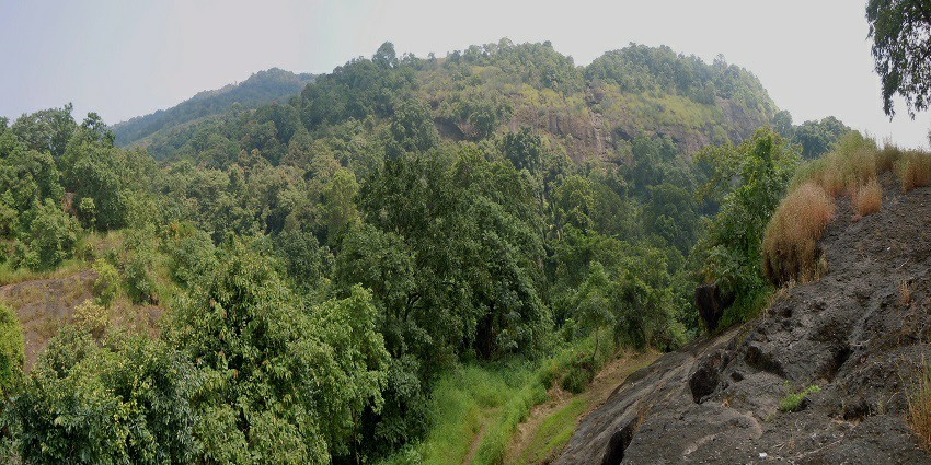 A scenic view of Sanjay Gandhi National Park, a popular destination near Maharashtra.