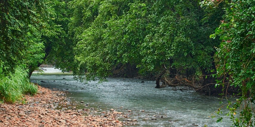 A photo of Sanjay Gandhi National Park, a vast urban park located near Juhu Beach in Mumbai.