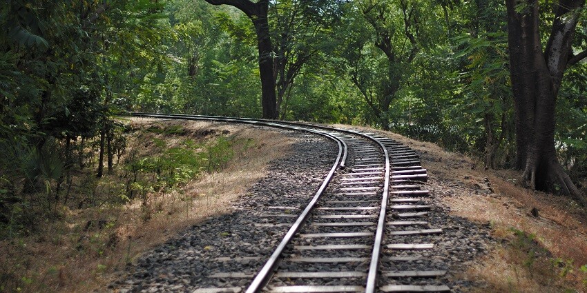 An image of lush greenery and Kanheri Caves within Sanjay Gandhi National Park.