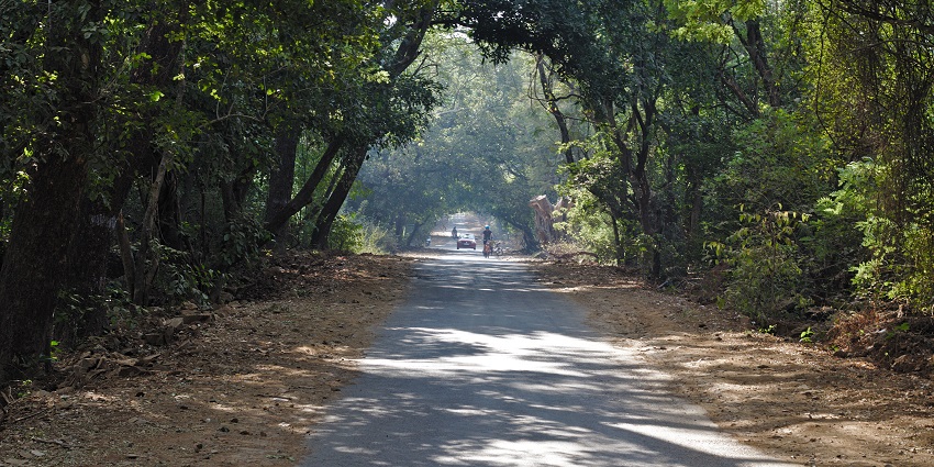 Sanjay Gandhi National Park, is a tranquil nature escape for couples.