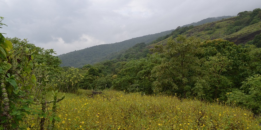 A picture of Kanheri Caves, one of the best trekking places in Mumbai for one day.
