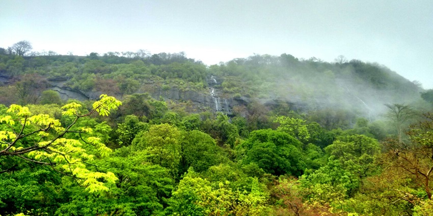 Sanjay Gandhi National Park is one of the must places to visit in Thane for wildlife lovers