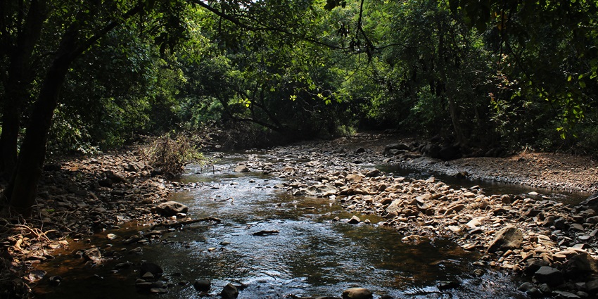 Sanjay Gandhi National Park is one of the best places to visit for couples in Mumbai.