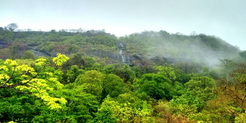 A vibrant landscape of Sanjay Gandhi National Park, featuring diverse flora and fauna.