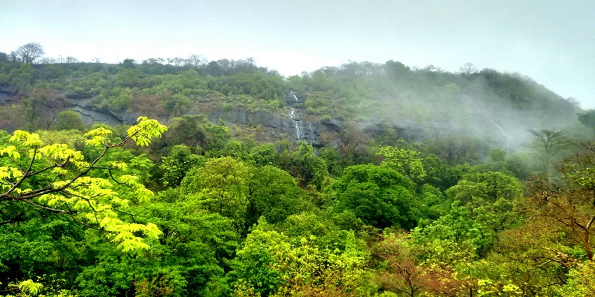 A mesmerising view of Sanjay Gandhi National Park, one of the best places around Goregaon.