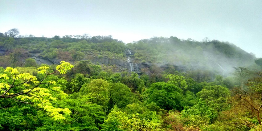A vibrant landscape of Sanjay Gandhi National Park, featuring diverse flora and fauna