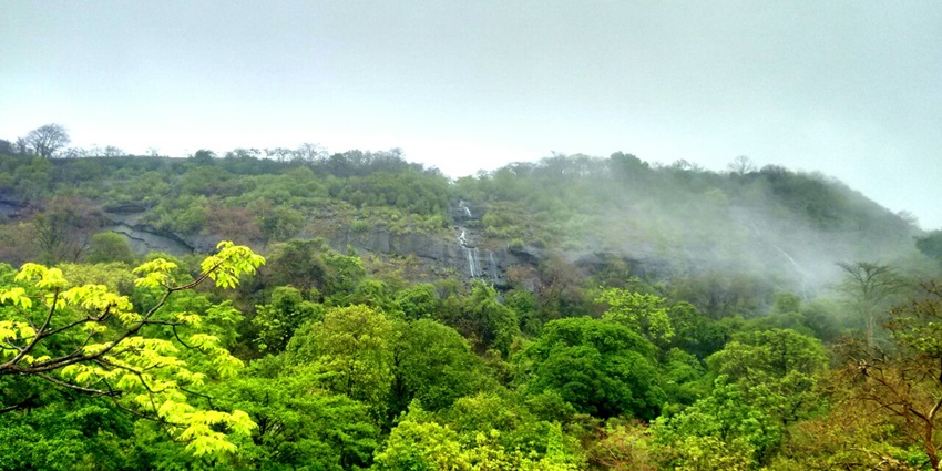 A vibrant landscape of Sanjay Gandhi National Park, featuring diverse flora and fauna.