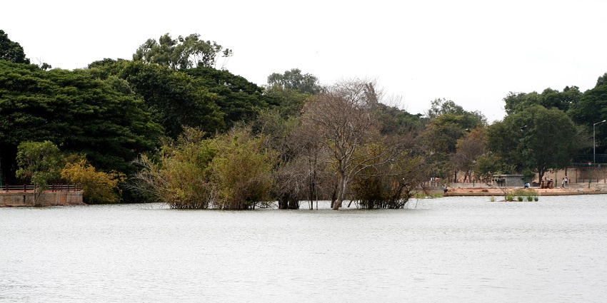Sankey Tank is one of the most amazing places to visit in Malleswaram for travellers.