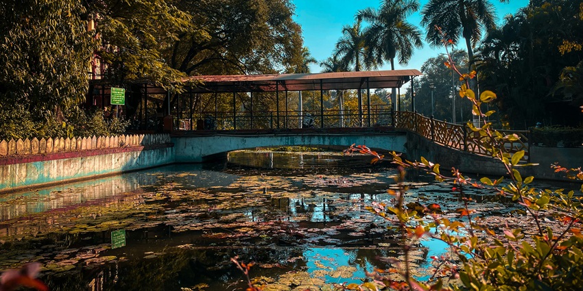 A scenic view of lush green beauty of the famous Saras Baug in Maharashtra.