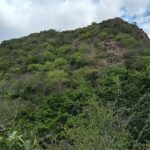 Scenic view of Sathuragiri Hills, showcasing lush greenery and rocky terrain.