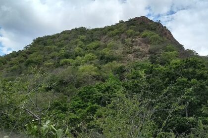 Scenic view of Sathuragiri Hills, showcasing lush greenery and rocky terrain.