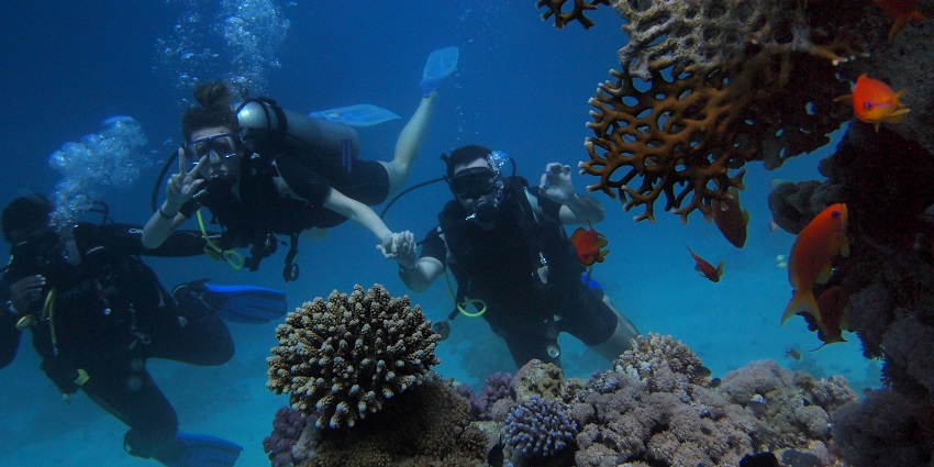 Scuba diving is among the best water sports in Chennai providing lessons and dive trips nearby.