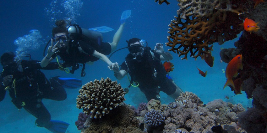 An image of a scuba diver exploring colourful coral reefs, surrounded by nature.