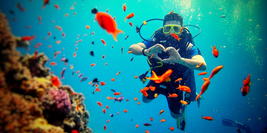 A picture of a person scuba diving, exploring vibrant coral reefs for a diver.