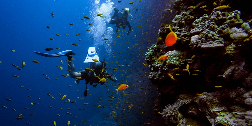 People under the water trying scuba diving, one of the best things to do in Goa in April.