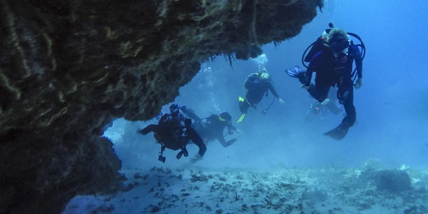 A picture of a couple of divers enjoying scuba diving and exploring the depths of the ocean