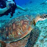 Scuba diving in Lakshadweep is a wonderful and amazing experience for people of all ages.