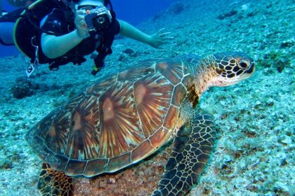 Scuba diving in Lakshadweep is a wonderful and amazing experience for people of all ages.