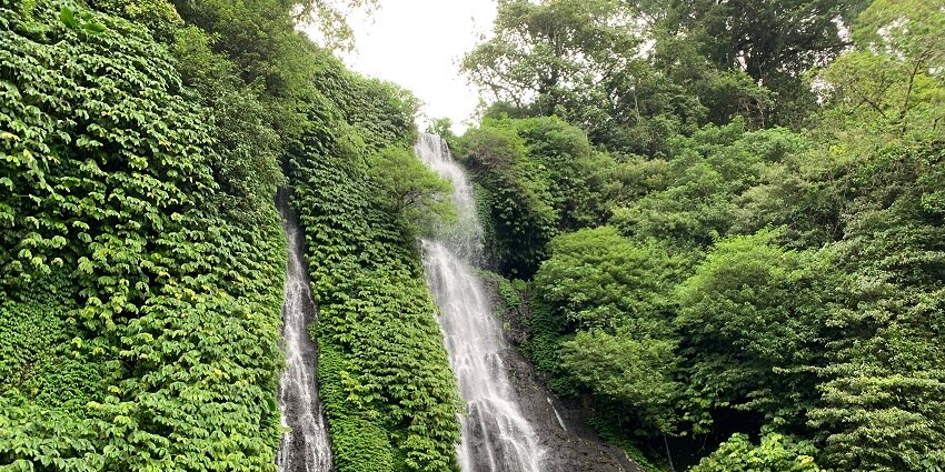 View of a waterfall among lush greenery cascading down the mountain in Singaraja, Bali.