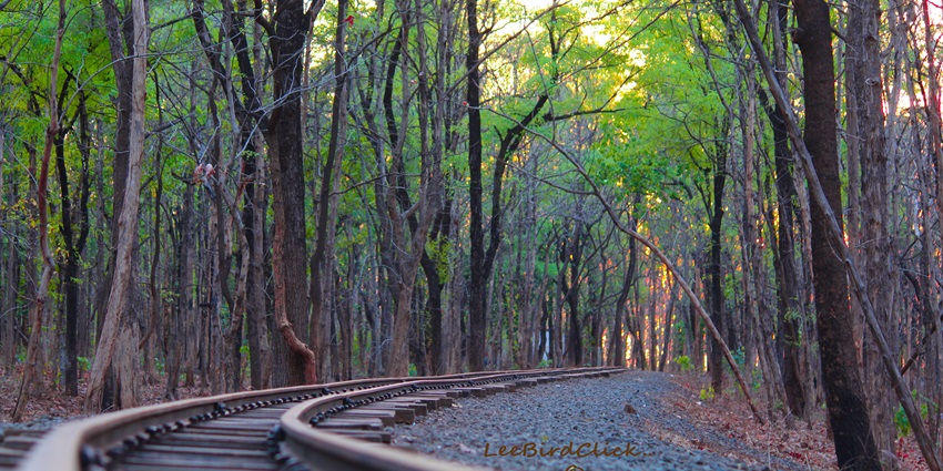 Seminary hill, a historic Nagpur landmark, offers ancient architecture and breathtaking views.