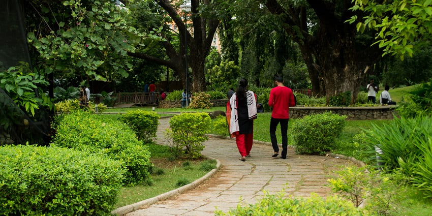 Beautiful botanical garden showcasing a variety of plant species.