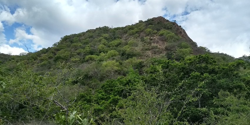 Trek offering breathtaking vistas and rich biodiversity to explore.
