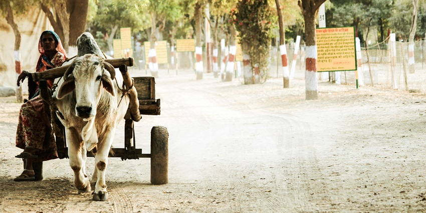 An image of a village with a cart pulled by cows, surrounded by lush fields and quaint cottages.