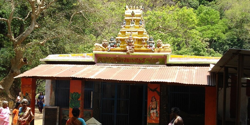 Visit Shenbaga Devi Amman Temple.