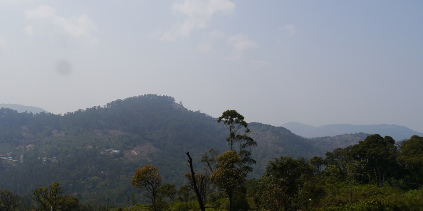 Scenic view of lush Shevaroy Hills in Yercaud, covered in dense greenery.