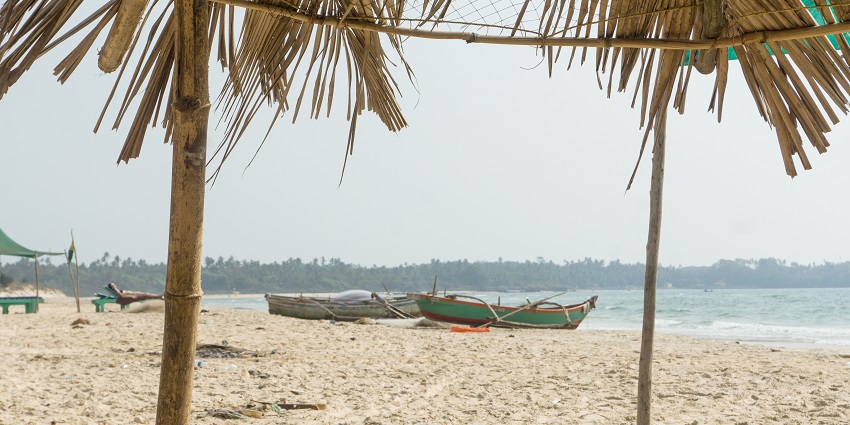 Shiroda Beach offers coconut palms, soft sand, and gentle waves for a serene retreat.
