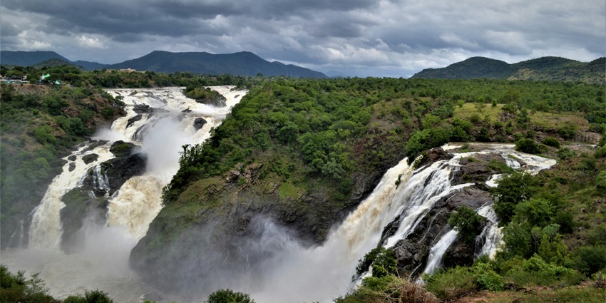 A view of the cascading beauty of Shivanasamudra Falls surrounded by greenery.