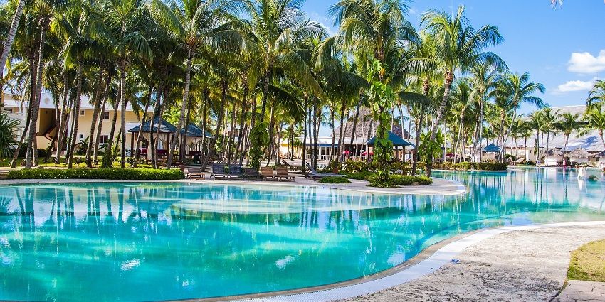 A tropical resort scene featuring tall palm trees, a vibrant blue sky, and a serene atmosphere.