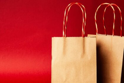 Snapshot of the shopping bags- Explore the shopping places in gurgaon on your Trip