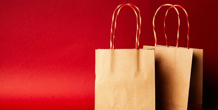 Snapshot of the shopping bags- Explore the shopping places in gurgaon on your Trip