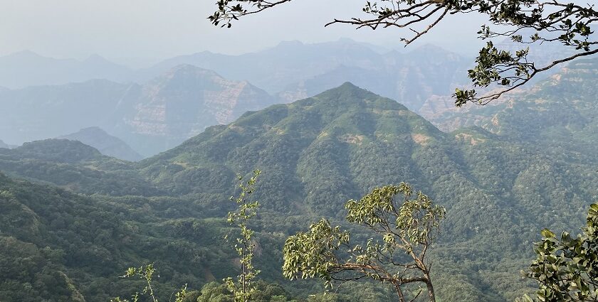 Mahabaleshwar, an ideal place for a vacation in nature.