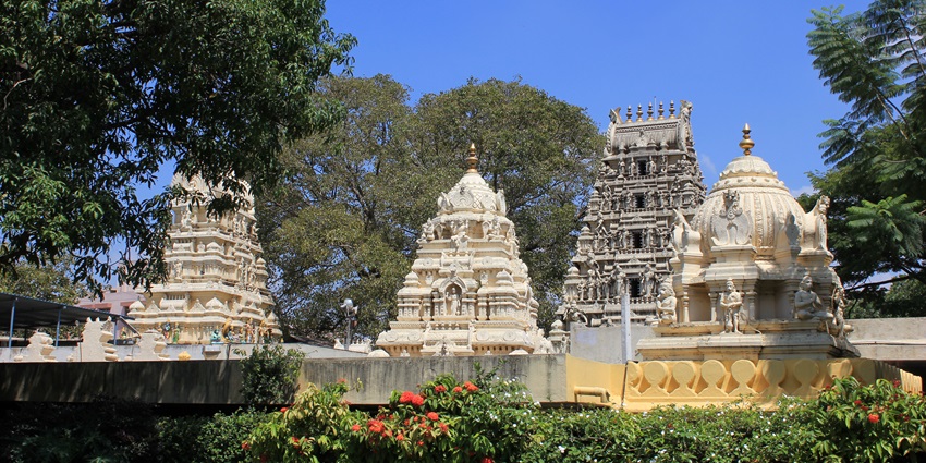 A glimpse of the Shree Venkateswara Swami spiritual hub surrounded by greenery.
