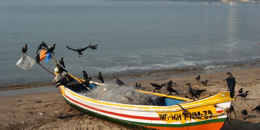 A picture of a serene beach, which is one of the best places to visit near Mira Road