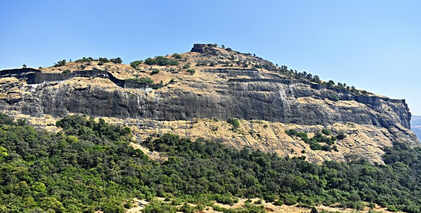 Majestic view of Shrivardhan Fort atop a hill surrounded by lush greenery