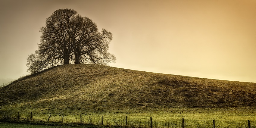 Siddara Betta, a prominent hill site, offers food landscape views.
