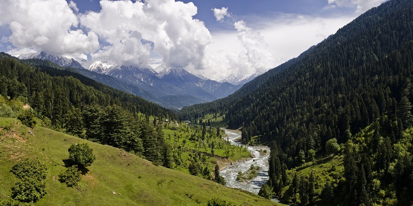 Peaceful trek leading to breathtaking valley viewpoints and landscapes, while trekking in Ooty.