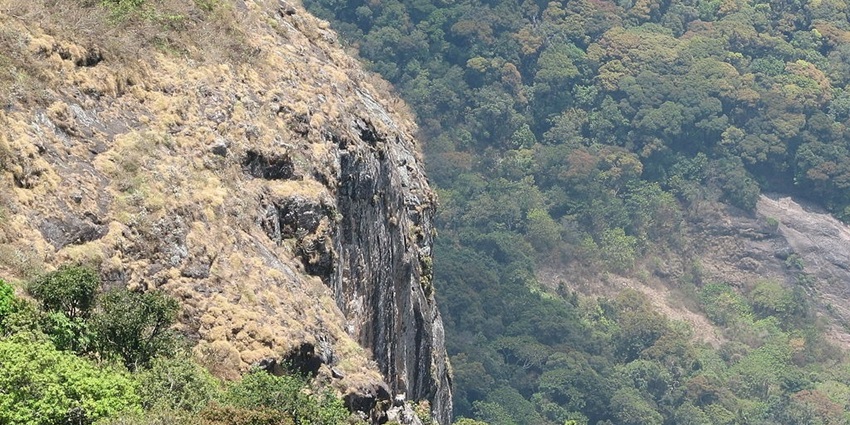 View of Silent Valley in Kodaikanal, showcasing dense greenery and distant hills.