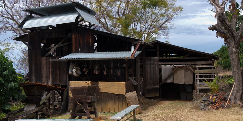 A picture of a wooden house in Kutta Village with a local coffee farm in the background
