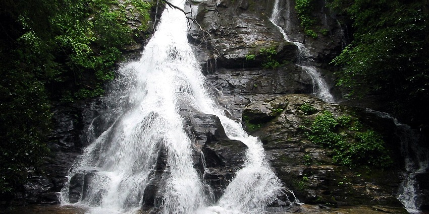 The tourist places in Sringeri feature Sirimane Falls amidst greenery and tranquillity.