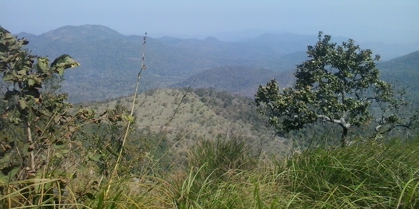 Misty Sirumalai Hills, covered with dense greenery and forests, is one of the places to visit near Palani.